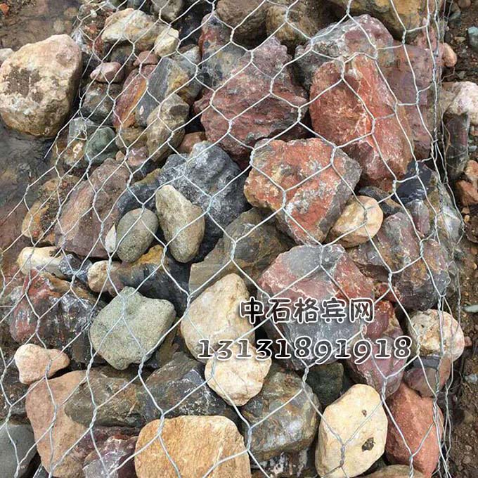 雷諾護墊 雷諾護墊