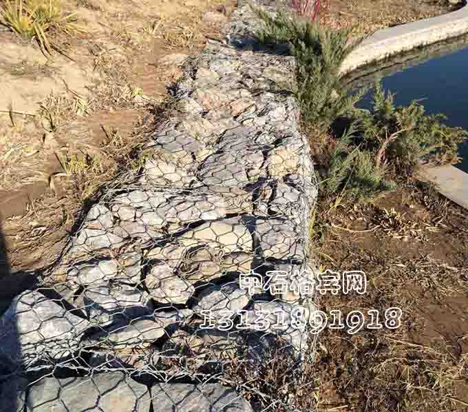 護腳雷諾護墊 護腳雷諾護墊