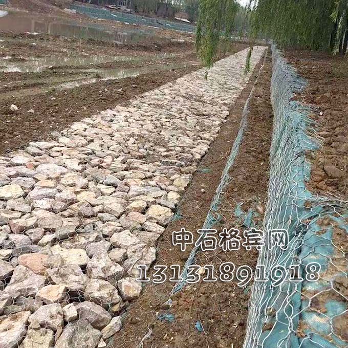 高爾凡格賓網(wǎng) 高爾凡格賓網(wǎng)