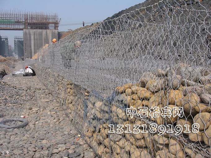 雷諾護墊 雷諾護墊